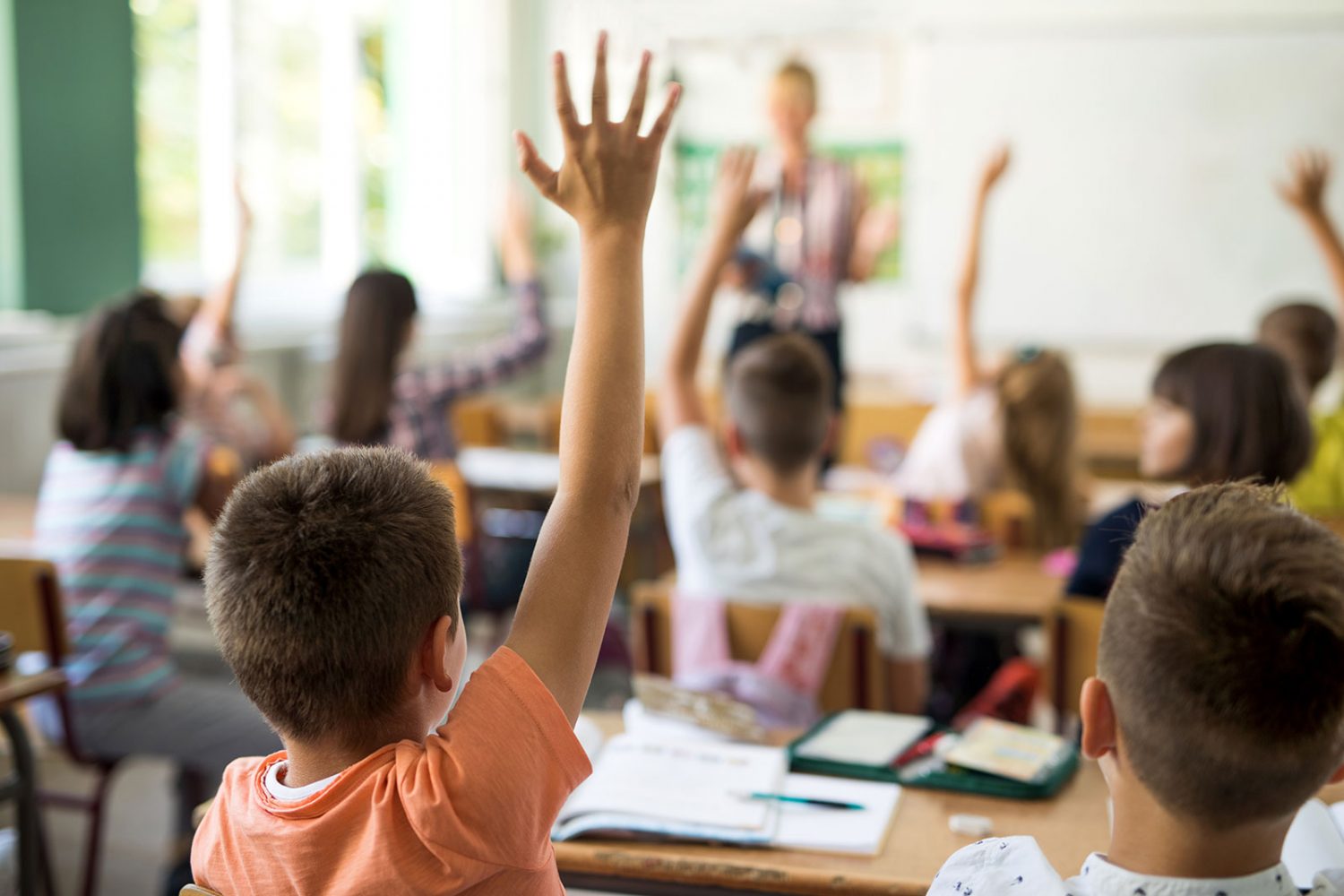 Children raise their hands in a classroom