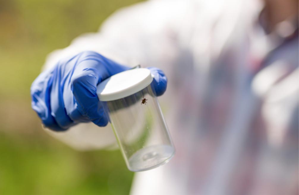 An inspector holds up a specimen jar with a tick inside of it.